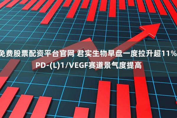 免费股票配资平台官网 君实生物早盘一度拉升超11% PD-(L)1/VEGF赛道景气度提高